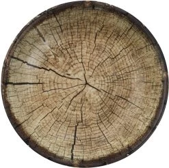 Kutahya Porselein Nano Krem Serviesset (24 Delig) 6 Personen - NNTS24Y2894010 -Demeyere Winkel 1200x1197 1