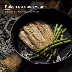 Ocina Gietijzeren Pan – ø30,5cm - Skillet - Koekenpan – Hapjespan – Koekenpan Inductie – Koekenpannenset - Gietijzeren Pan Bbq - Gietijzer -Demeyere Winkel 1200x1200 287
