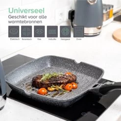 Coninx Grillpan 28CM - Steakpan - Afneembare Handgreep - PFAS-vrij - Grijs -Demeyere Winkel 1200x1200 440