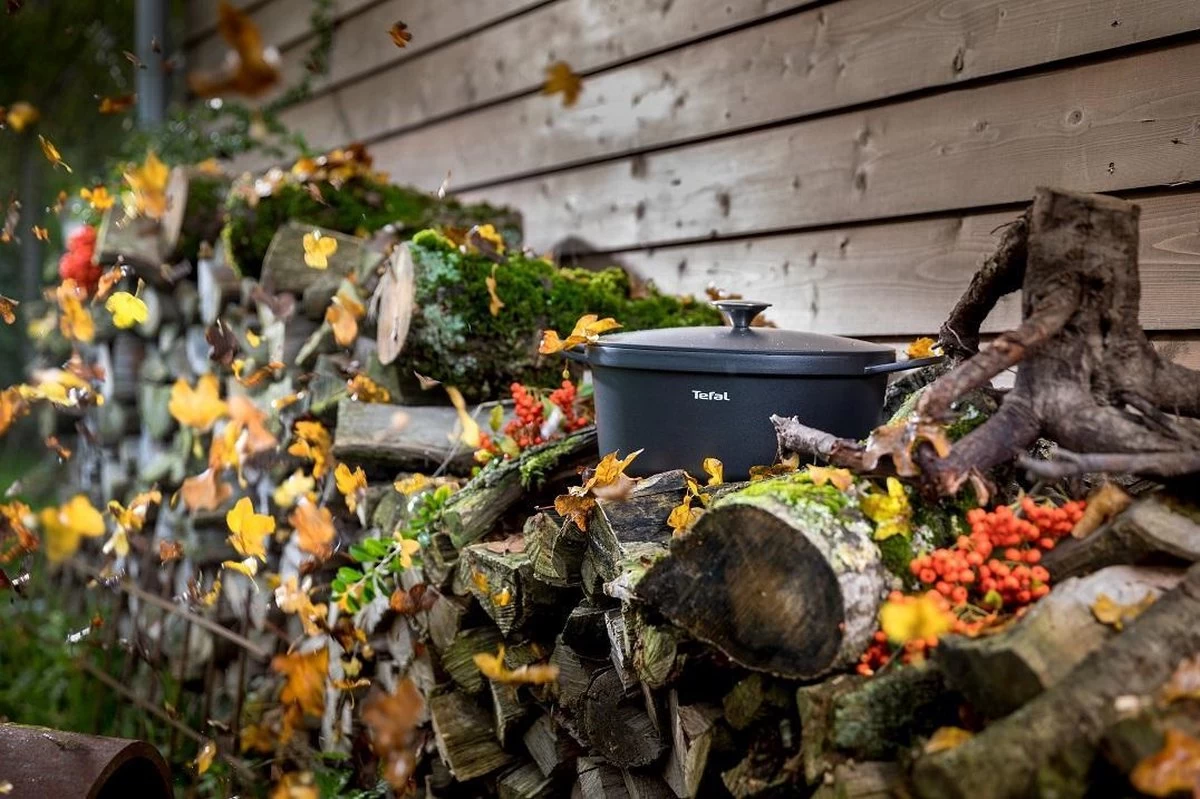 Tefal Trattoria Braadpan - Ø28 Cm - Inclusief Deksel 9 Tefal Trattoria Braadpan - Ø28 Cm - Inclusief Deksel - Afbeelding 9