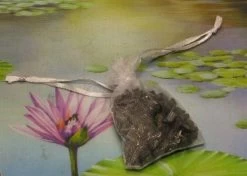 1000g Shungiet Shungite Stenen Voor Water En Ontstoring -Demeyere Winkel 1200x853 2